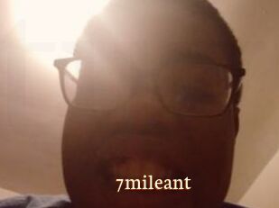 7mileant