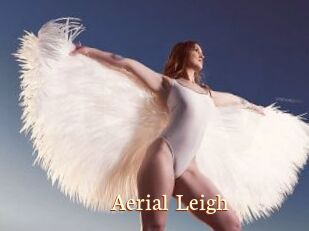 Aerial_Leigh