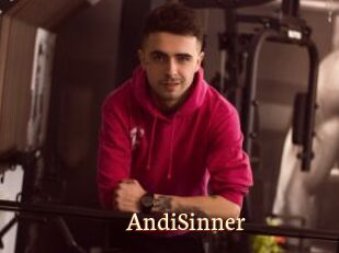 AndiSinner