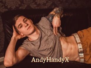 AndyHandyX