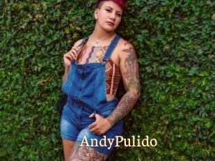 AndyPulido