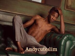 Andycuteslim