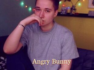 Angry_Bunny