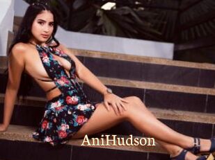 AniHudson