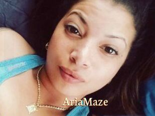 Aria_Maze