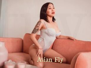 Asian_Fly