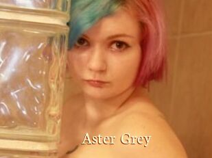 Aster_Grey