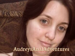 AudreysAnalAdventures