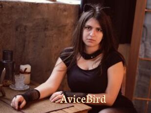 AviceBird