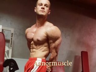 Aanormuscle