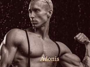 Adonis