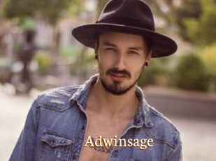 Adwinsage