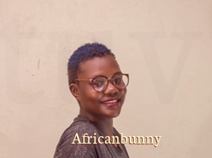 Africanbunny