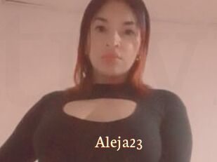 Aleja23