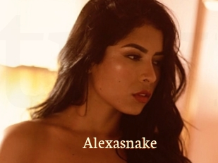 Alexasnake