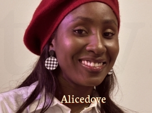 Alicedove