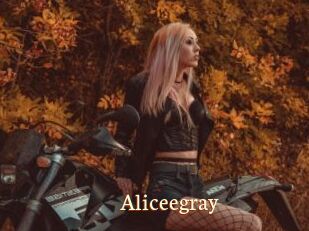 Aliceegray