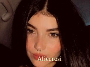 Alicerosi