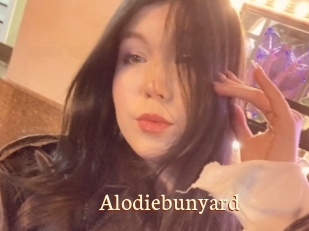 Alodiebunyard