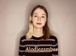 Alodiegambee