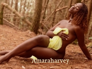 Amaraharvey