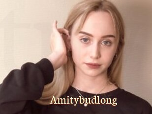 Amitybudlong