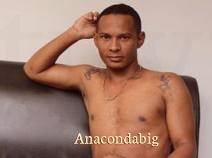 Anacondabig