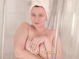 Andipussini