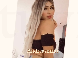 Andreasmiitt