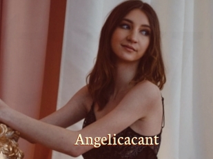 Angelicacant