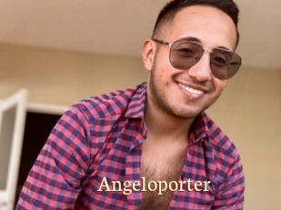 Angeloporter