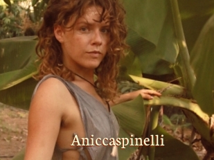 Aniccaspinelli