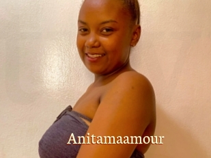 Anitamaamour