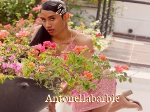 Antonellabarbie