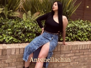 Antonellachan