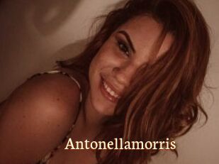 Antonellamorris