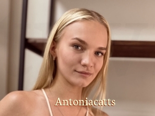 Antoniacatts