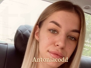 Antoniacodd