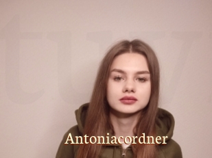 Antoniacordner