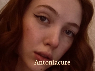 Antoniacure