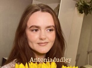 Antoniadudley