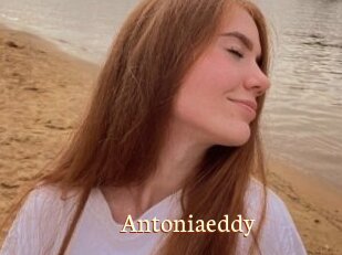 Antoniaeddy