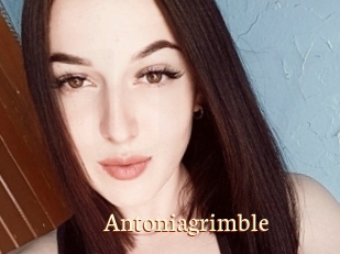 Antoniagrimble