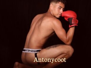 Antonycoot