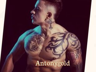 Antonygold