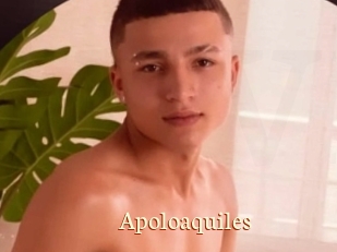 Apoloaquiles