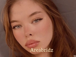 Areabridz