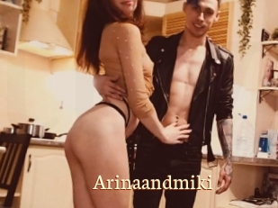 Arinaandmiki