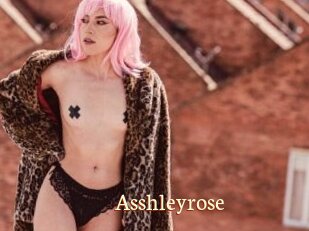 Asshleyrose