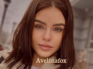 Avelinafox